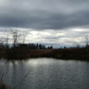 Meet your Posher, Logan